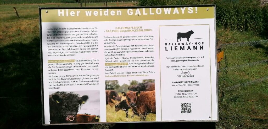 Galloway Hof Liemann Info Tafel Tiergarten Velen