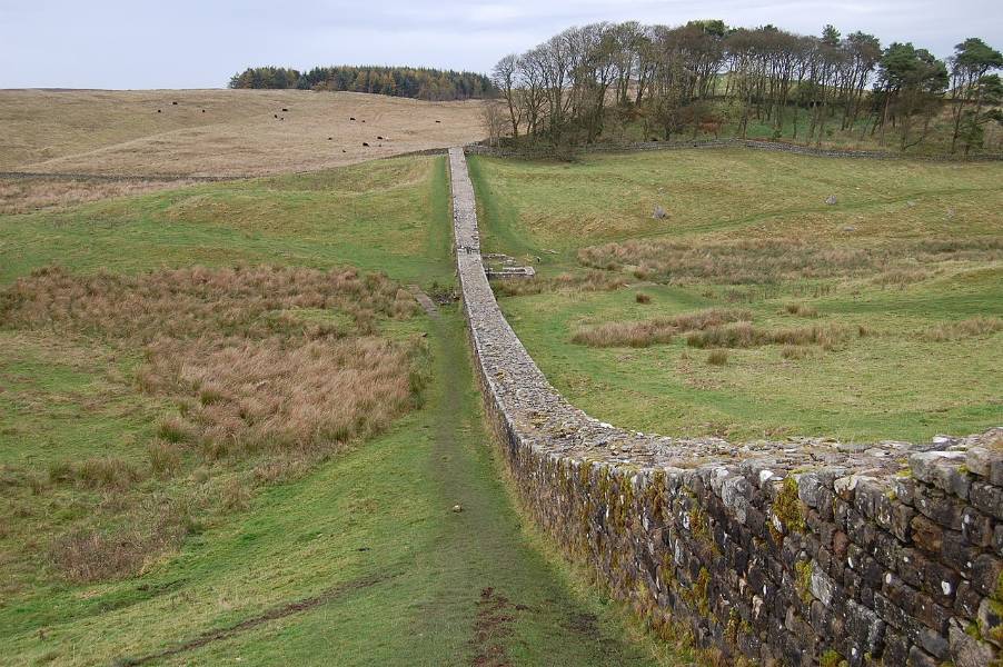 Hadrian's Wall Housesteads Galloway Weide